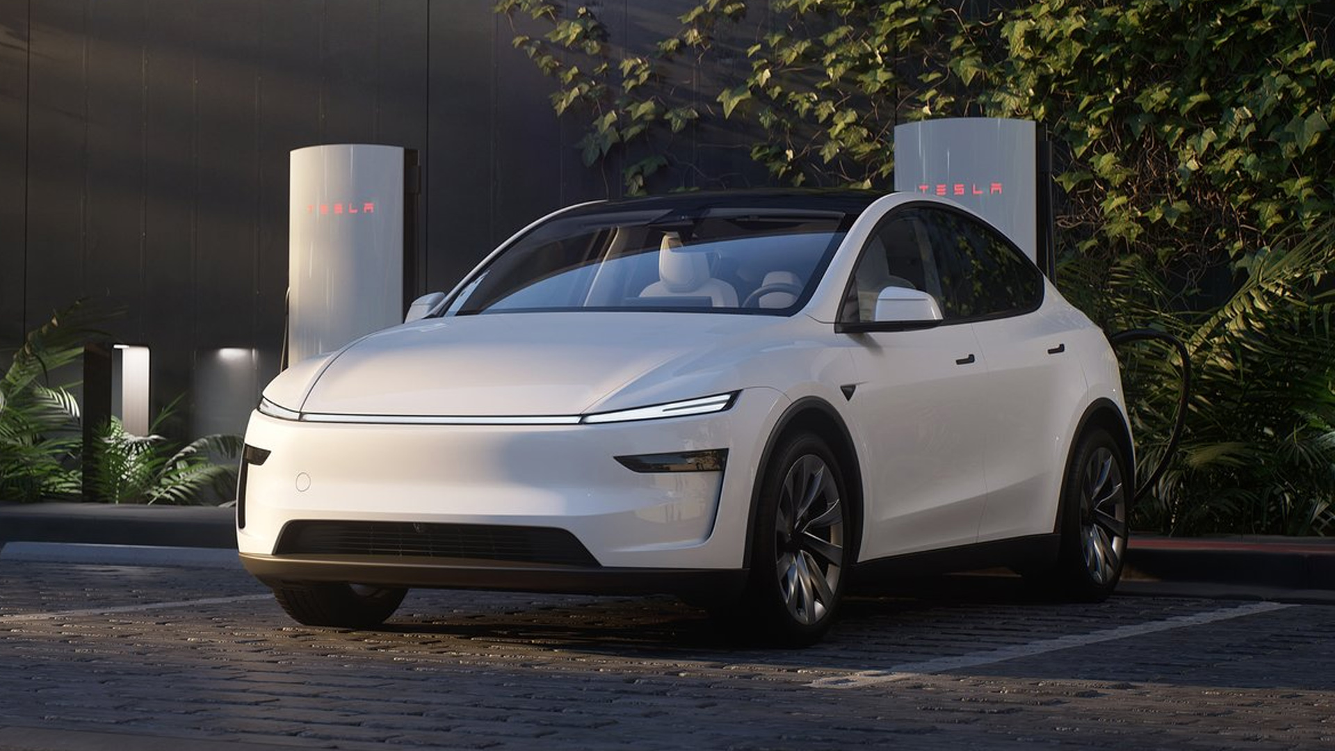 Tesla’s Market Share Hits Eight-Year Low: TDS