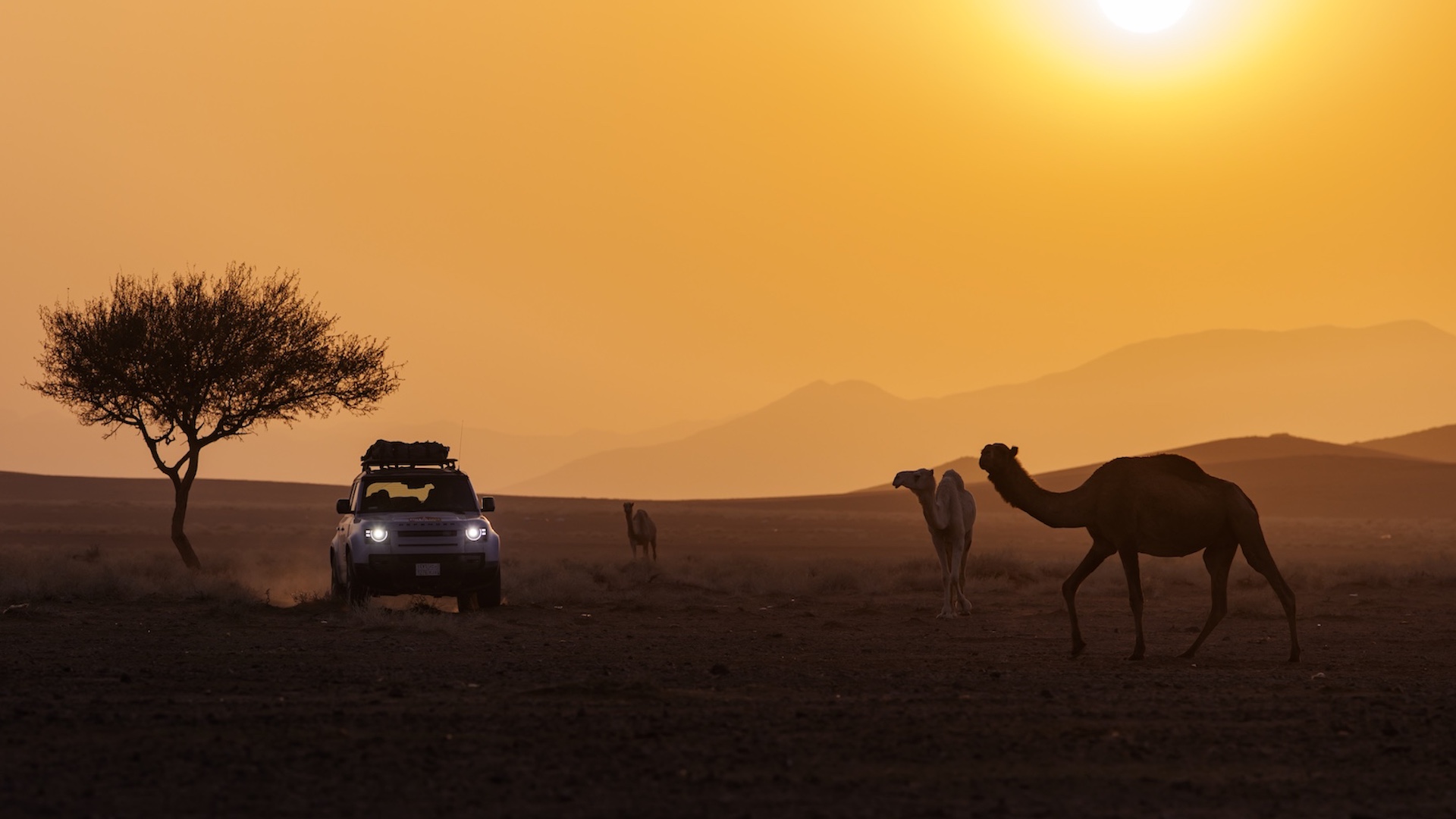 Here’s What I Saw While Off-Roading in Saudi Arabia During the Dakar Rally