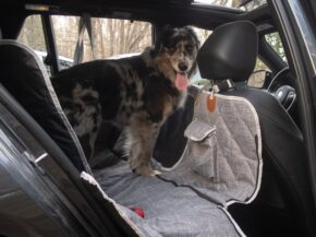 3W Liners’ Dog Seat Cover Is Cleverly Modular—and a Steal on Sale: The Rundown