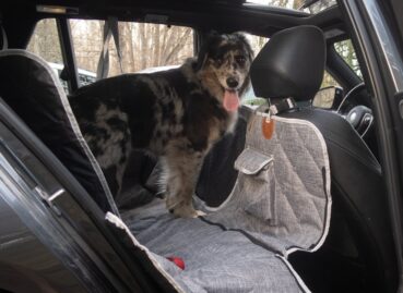3W Liners’ Dog Seat Cover Is Cleverly Modular—and a Steal on Sale: The Rundown